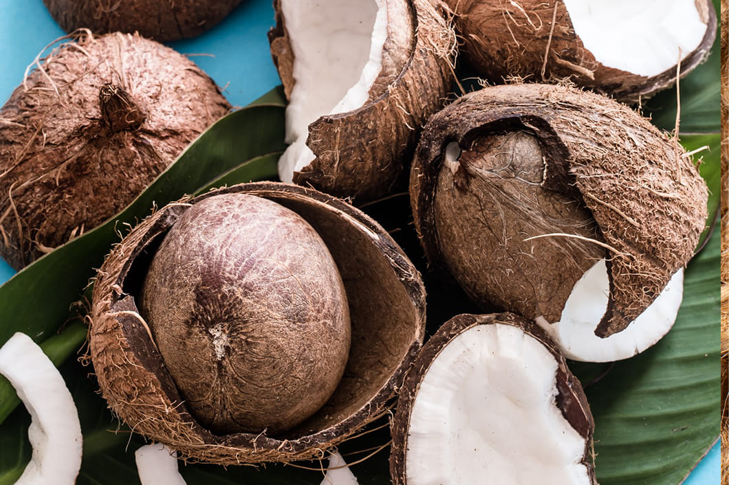Dry Coconut