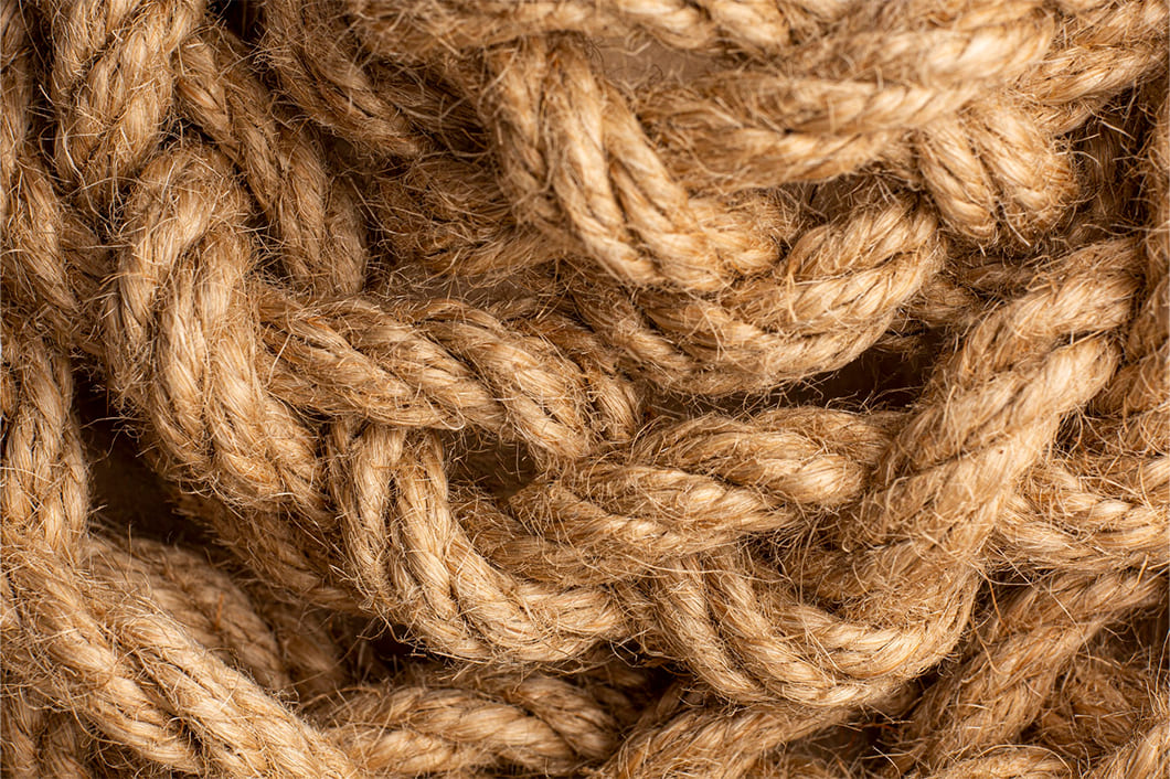 Coconut fiber